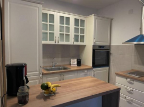 Two bedroom Apartment in Skopje Center